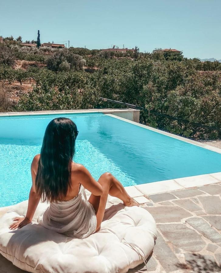 Villa Xenia Aegina Ngoại thất bức ảnh